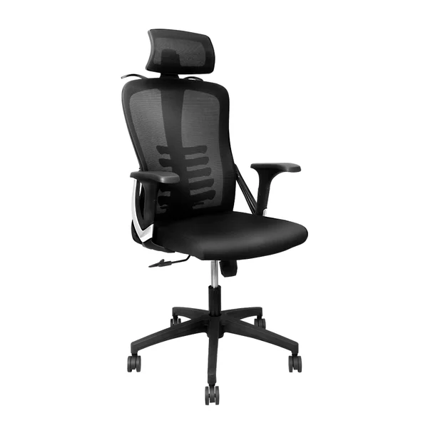 Cadeira presidente ergonômica imagem 1