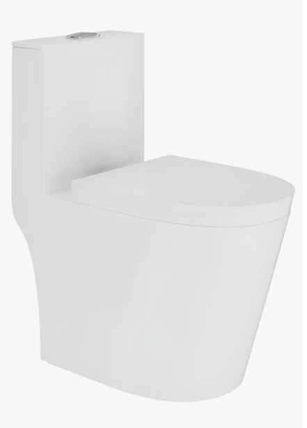 Bacia monobloco imagem 1