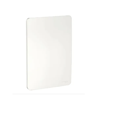 Placa cega 4x2 com parafusos imagem 1